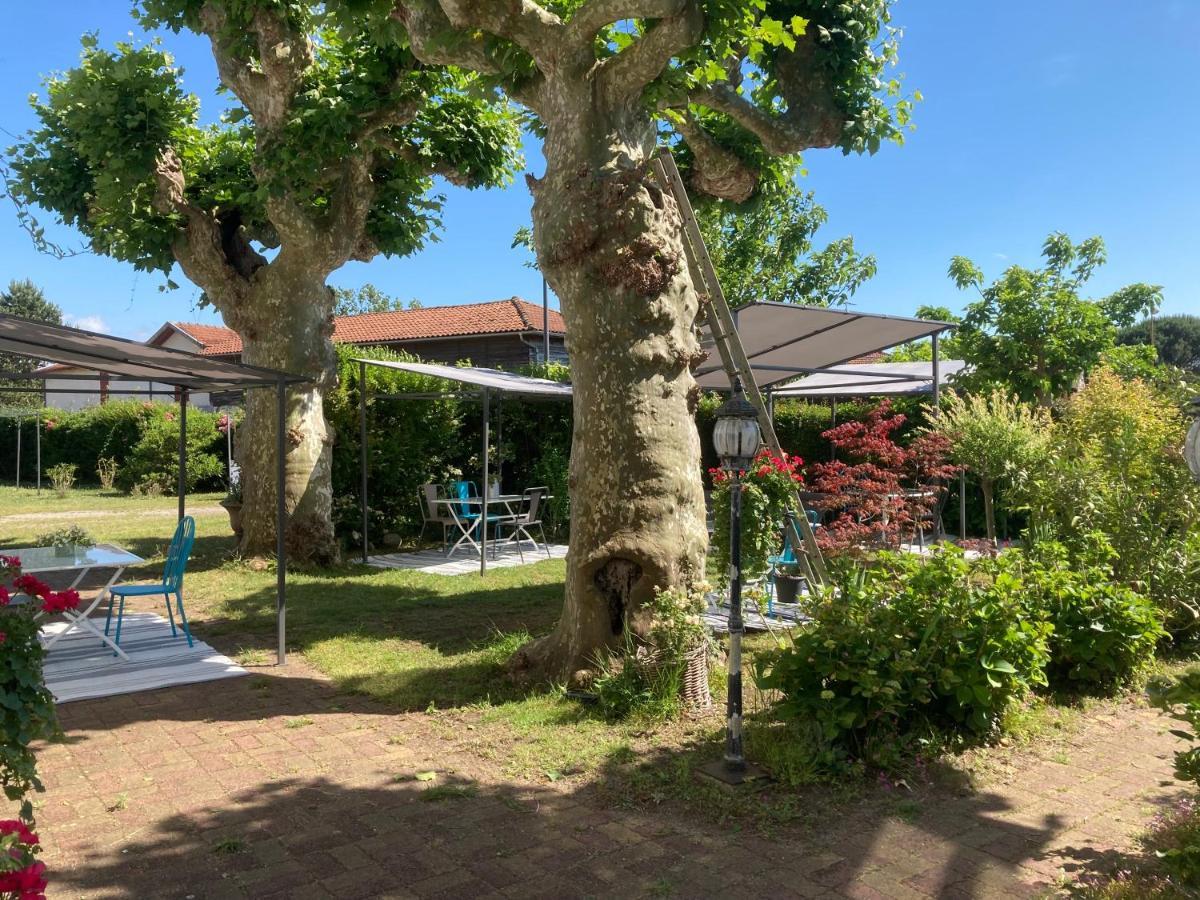Entre Mer Et Pins Saint-Julien-en-Born Exterior foto
